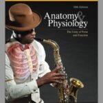 ISBN: 9781266046674 - Loose Leaf for Anatomy & Physiology: The Unity of Form and Function