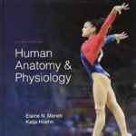 ISBN: 9780134580999 - Human Anatomy & Physiology / Edition 11